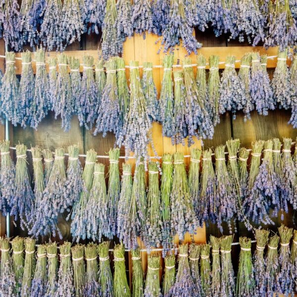 yellow and blue abstract painting