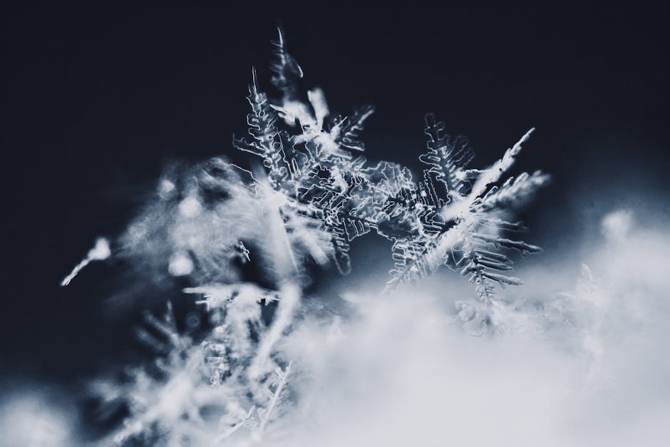 Close-up image of intricate, delicate snowflakes with sharp details against a dark, blurred background, evoking the essence of Nordic minimalism and highlighting the unique crystalline patterns and structure of the ice.